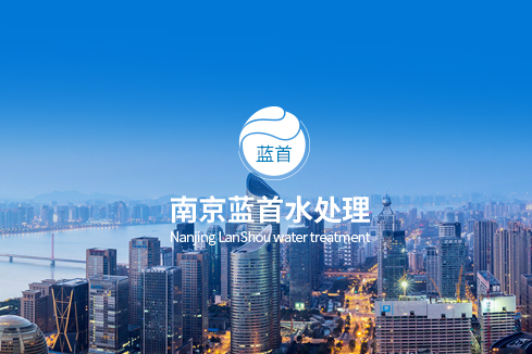 右江建站-南京蓝首水处理设备有限公司
