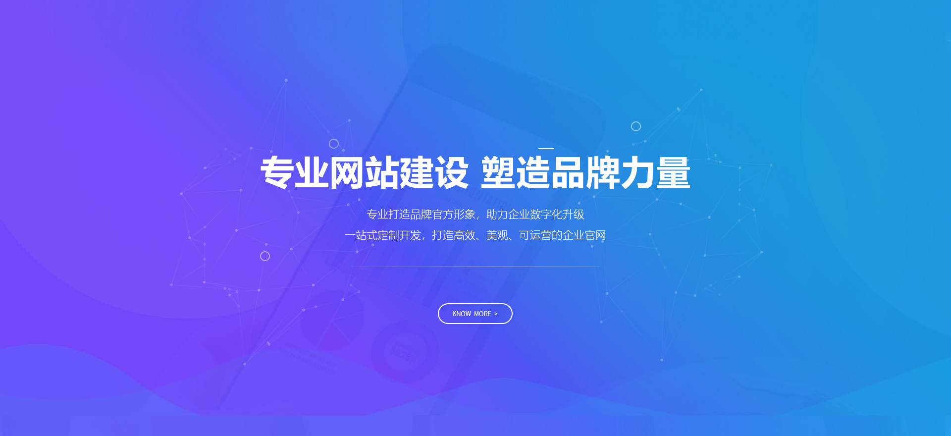 百色建站-专业网站建设 塑造品牌力量