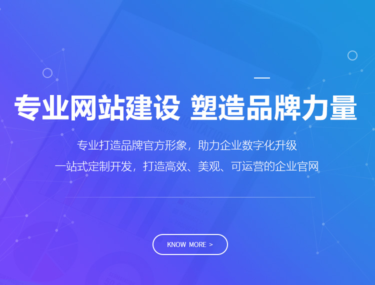 百色建站-专业网站建设 塑造品牌力量